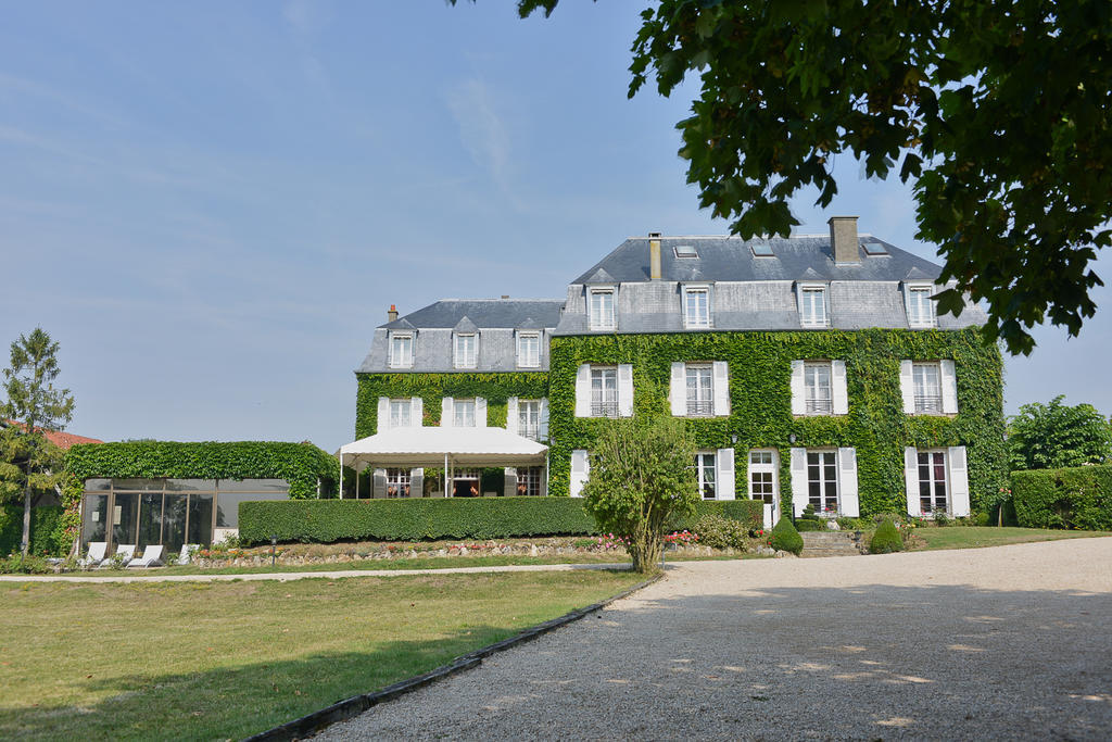 Chateau De Sancy Exteriör bild